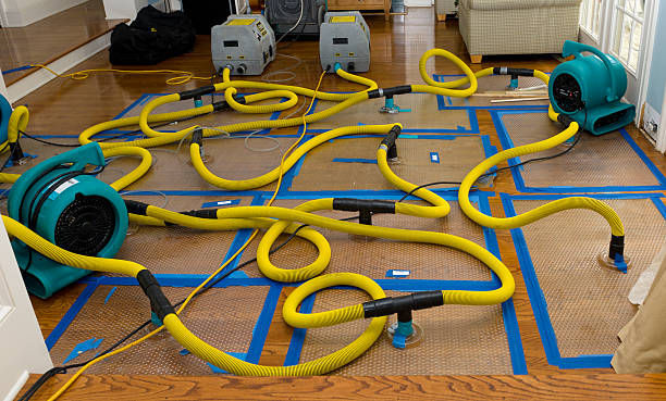 Professional Flood Damage Restoration technician working in Temple City, CA